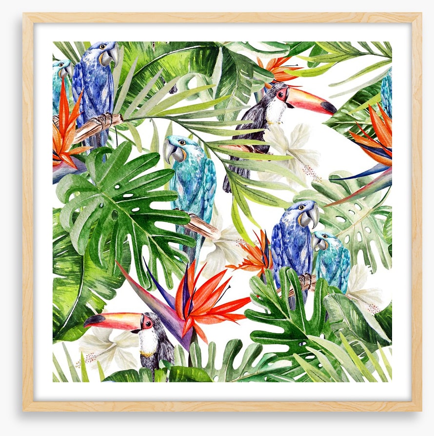 Blue parrot palms