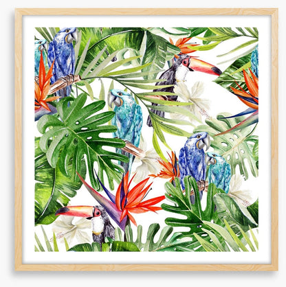 Blue parrot palms