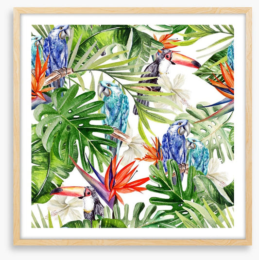 Blue parrot palms