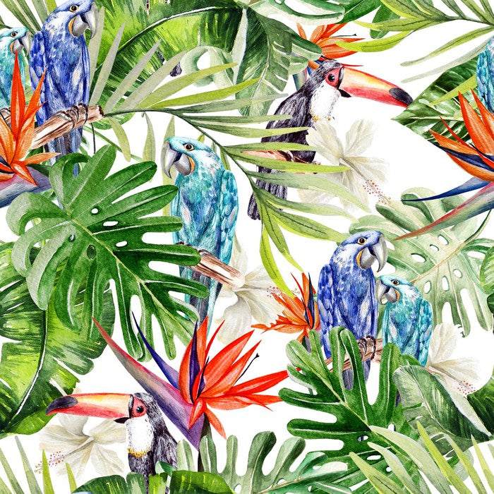 Blue parrot palms