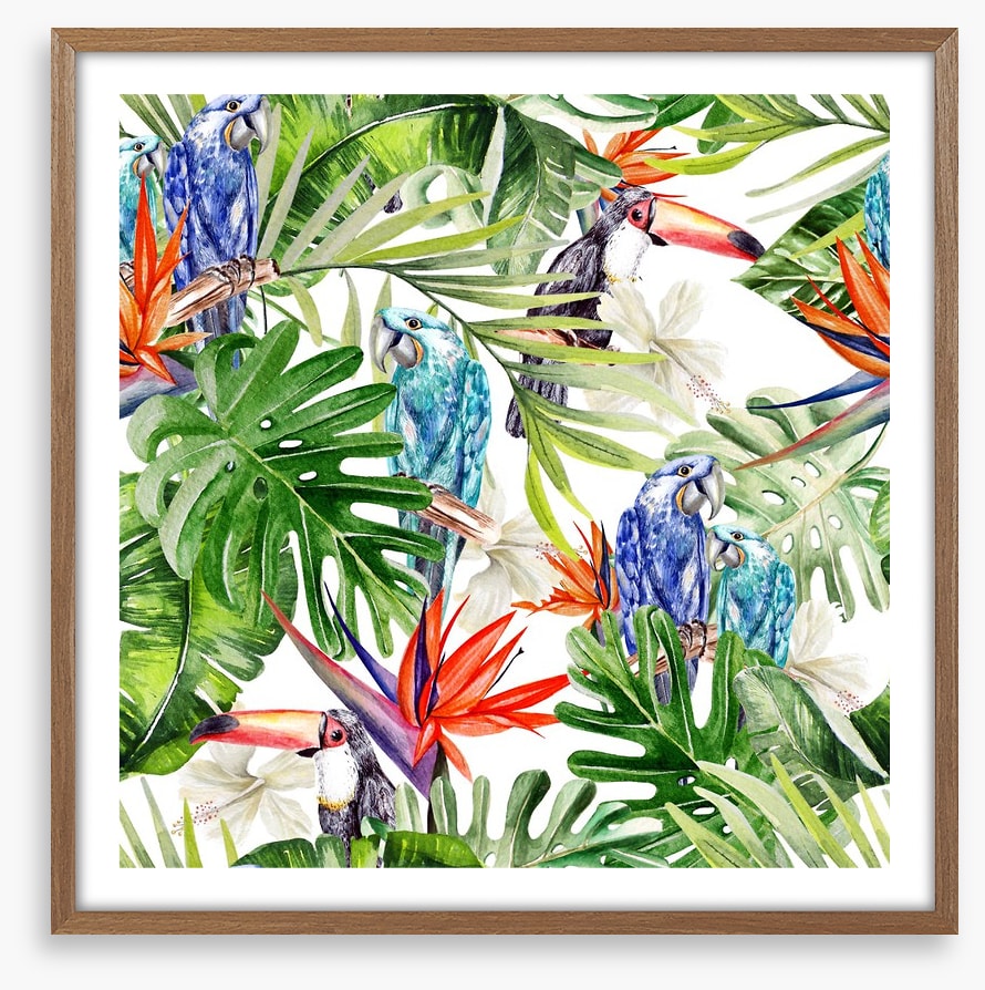 Blue parrot palms