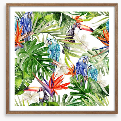 Blue parrot palms