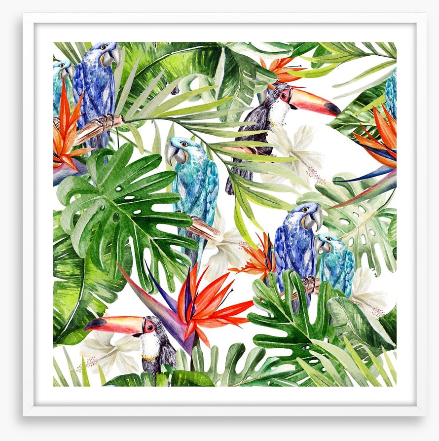Blue parrot palms