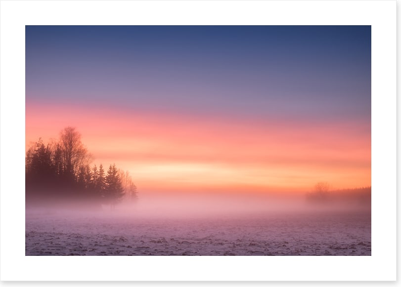 Pink mist morning