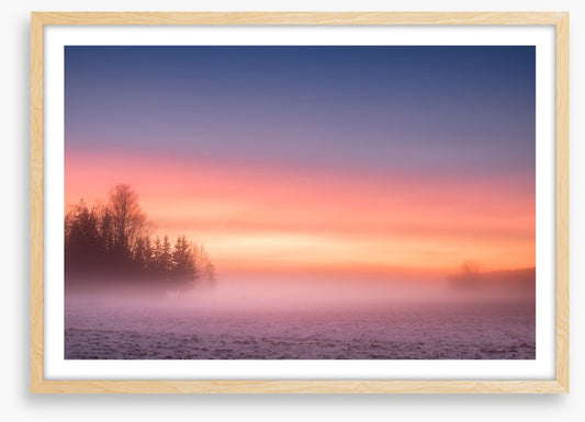 Pink mist morning