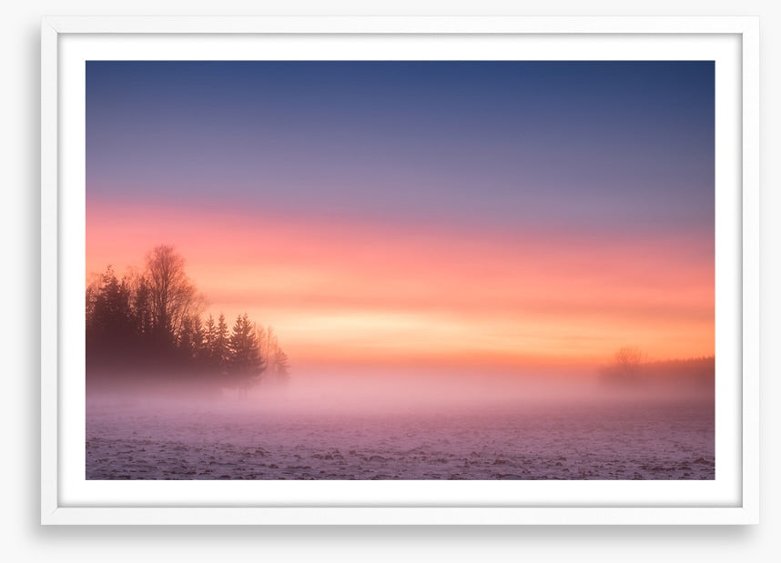 Pink mist morning