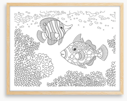 Colour me coral fish