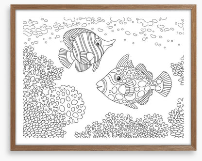 Colour me coral fish