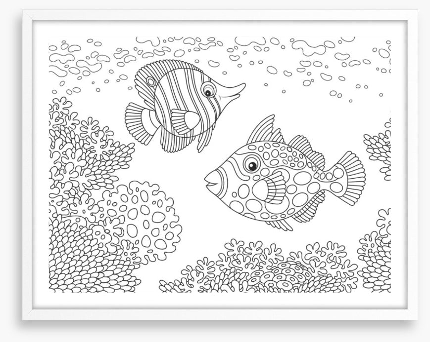 Colour me coral fish