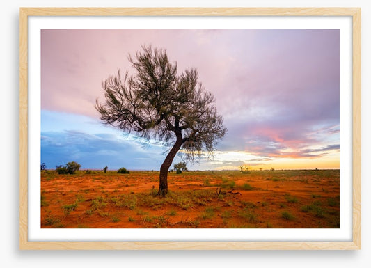 Pilbara twilight
