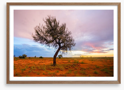 Pilbara twilight