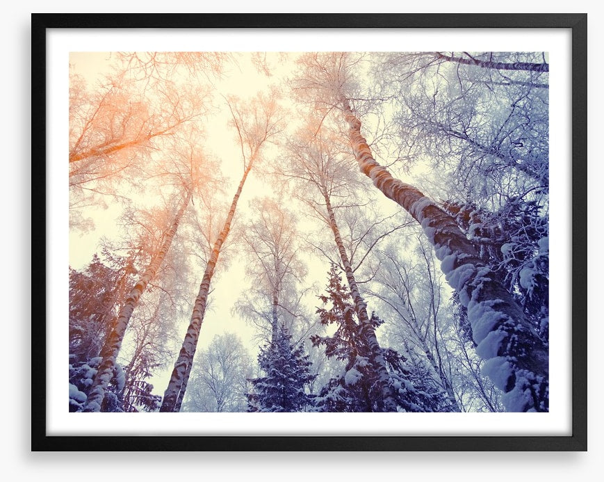 Under a snowy sky
