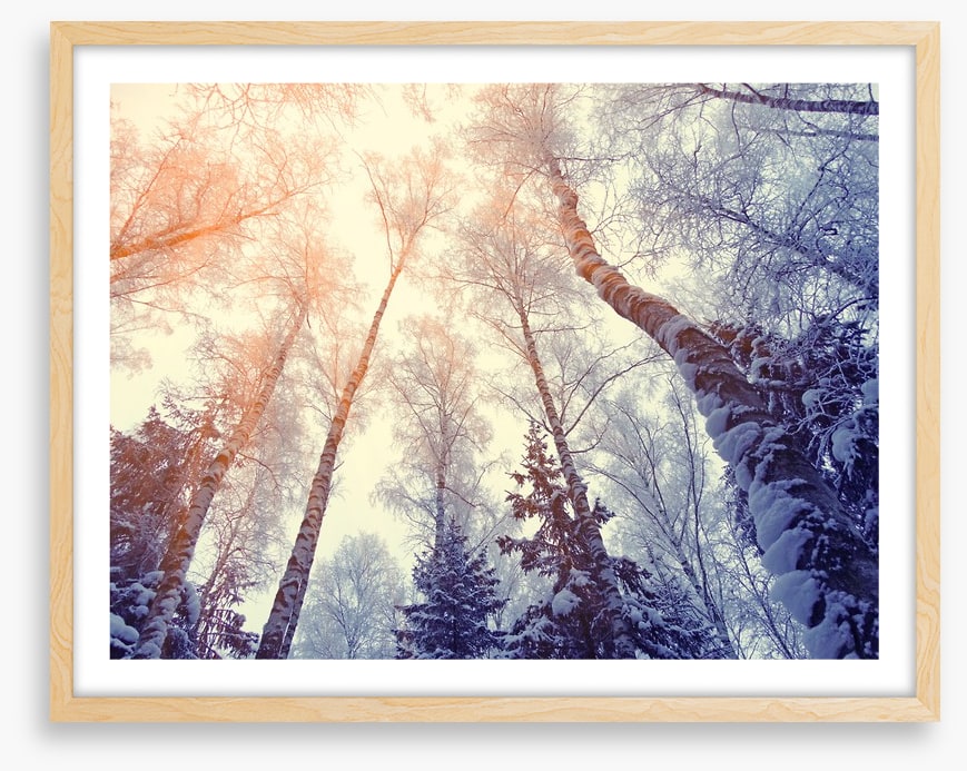 Under a snowy sky