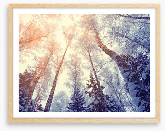 Under a snowy sky