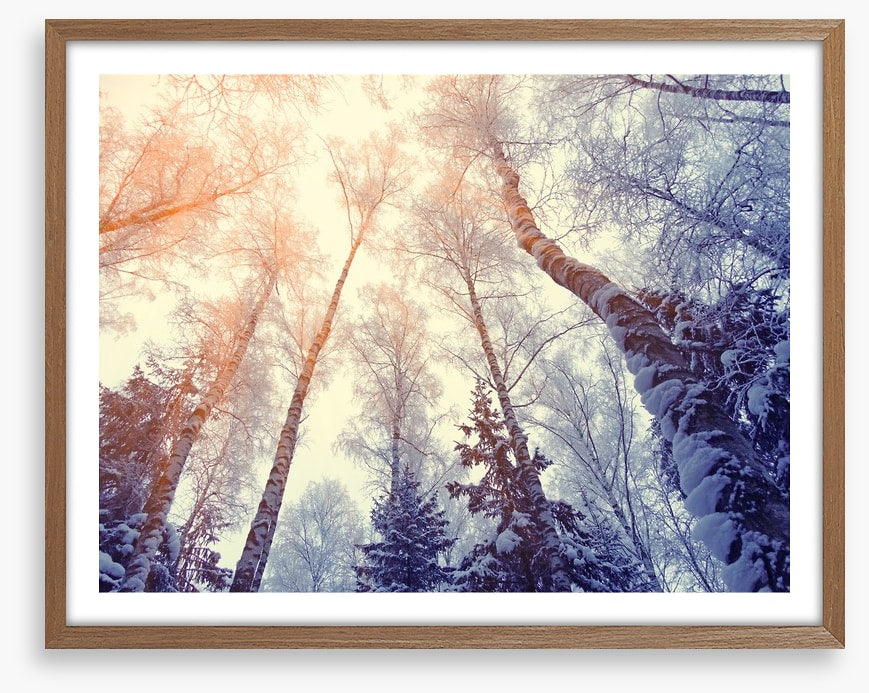 Under a snowy sky