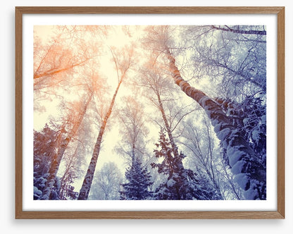 Under a snowy sky