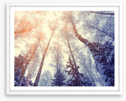 Under a snowy sky