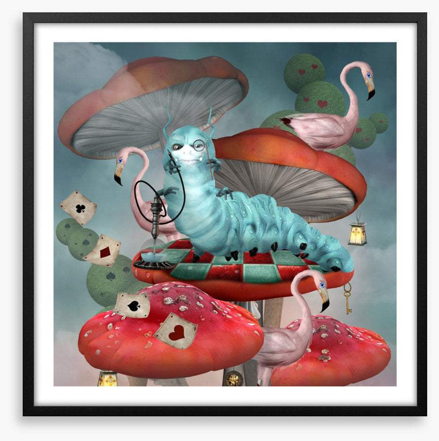 Magic in the mushrooms