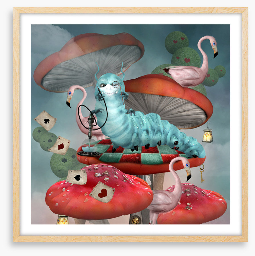 Magic in the mushrooms