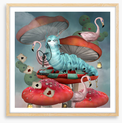 Magic in the mushrooms