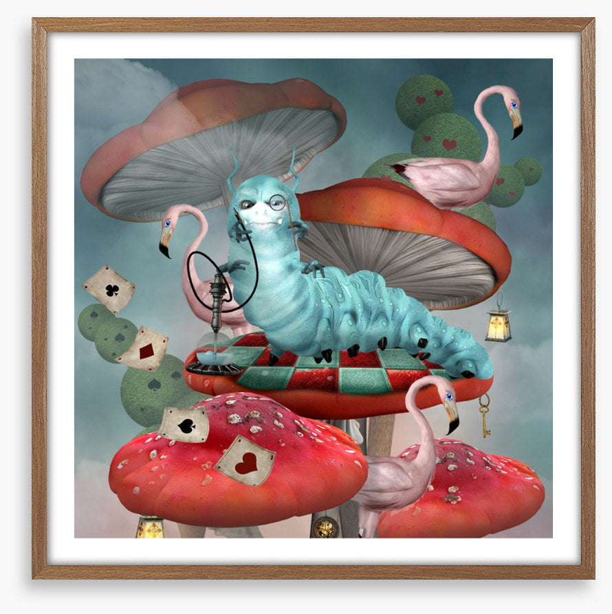 Magic in the mushrooms