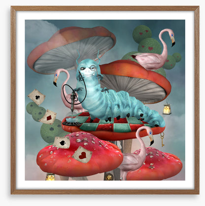 Magic in the mushrooms
