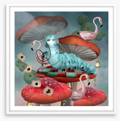 Magic in the mushrooms