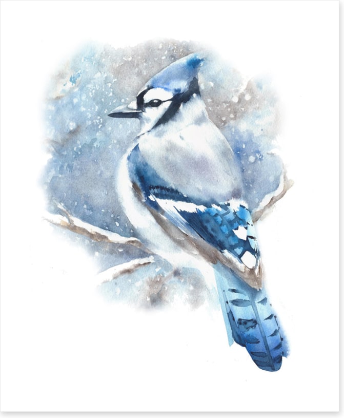 Birds