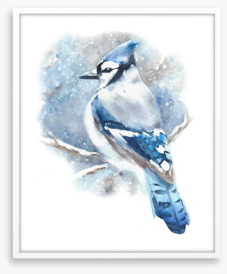 Birds