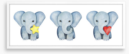 Elephants