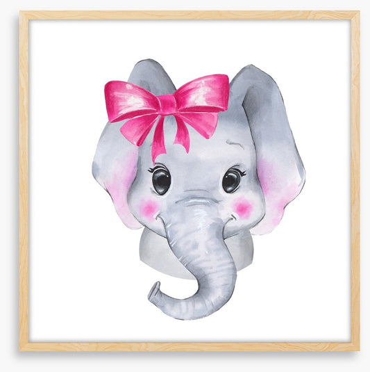 Elephant blush