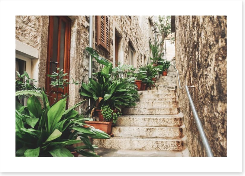 Garden on the steps