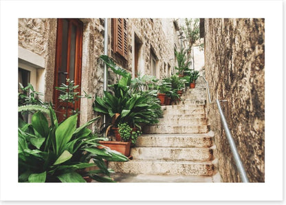 Garden on the steps
