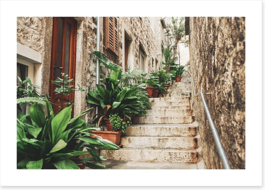 Garden on the steps