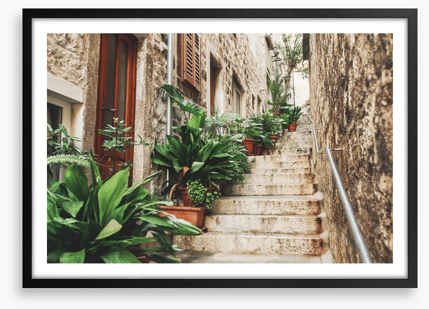 Garden on the steps