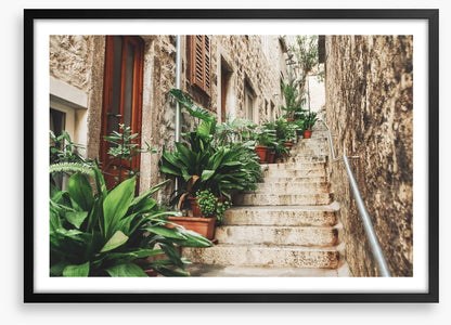 Garden on the steps