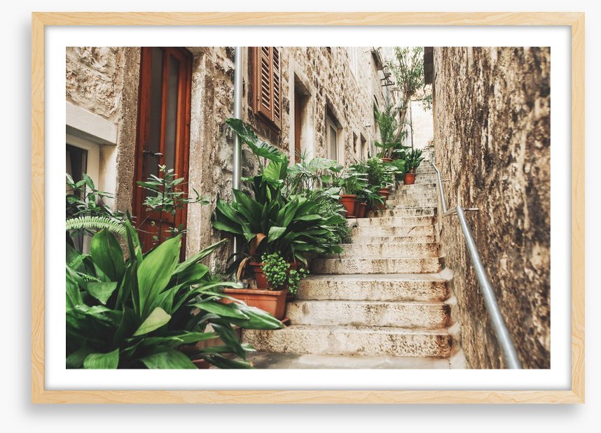 Garden on the steps