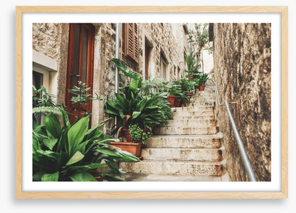 Garden on the steps