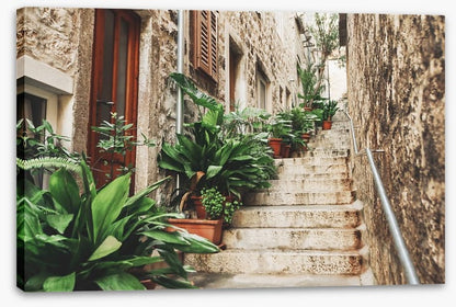 Garden on the steps
