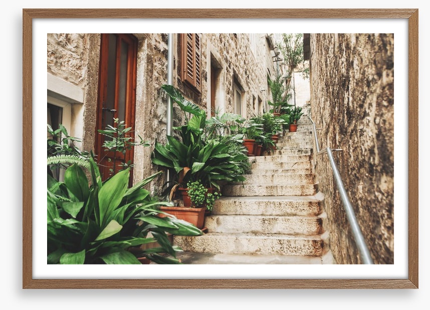 Garden on the steps