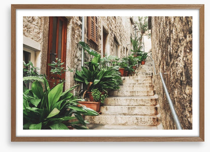 Garden on the steps