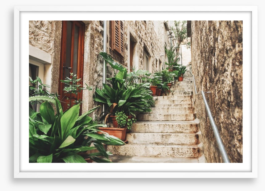 Garden on the steps