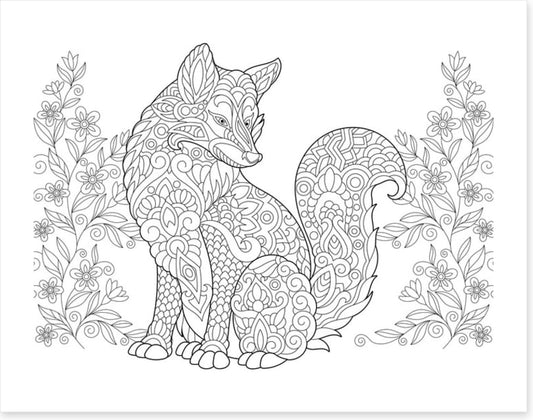 Colour me fox