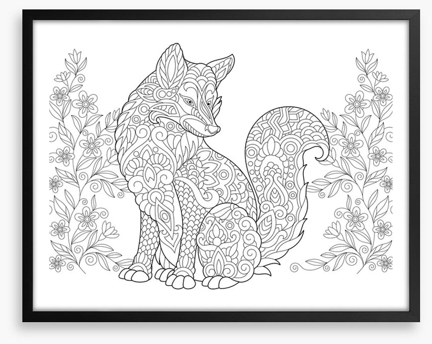 Colour me fox