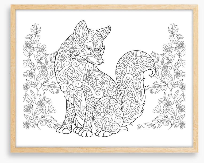 Colour me fox