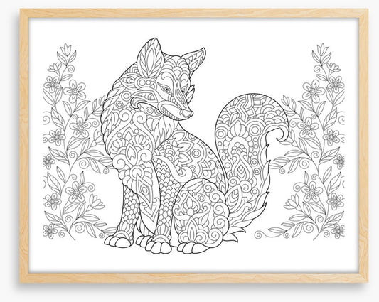 Colour me fox