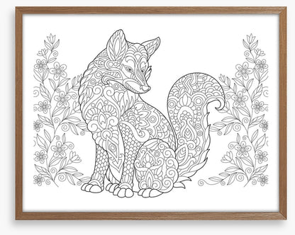 Colour me fox