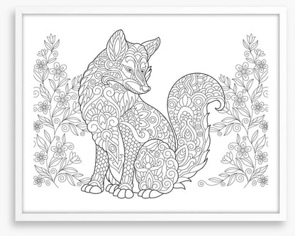Colour me fox