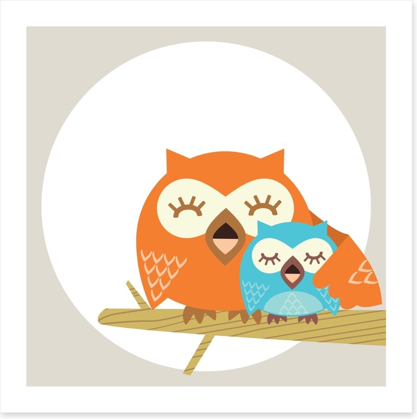 Owls
