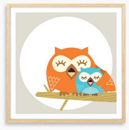 Owls